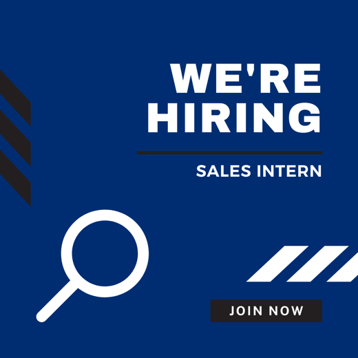 MVP Interacgtive Sales Intern